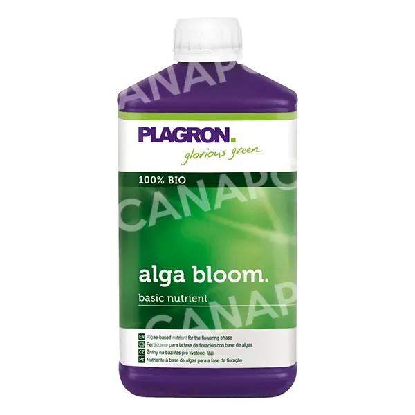 Plagron Alga Bloom fertilizzante fioritura 250 ml biologico