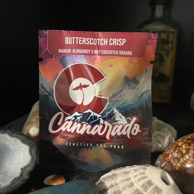 Cannarado Genetics Butterscotch Crisp semi femminizzati 6+ banana