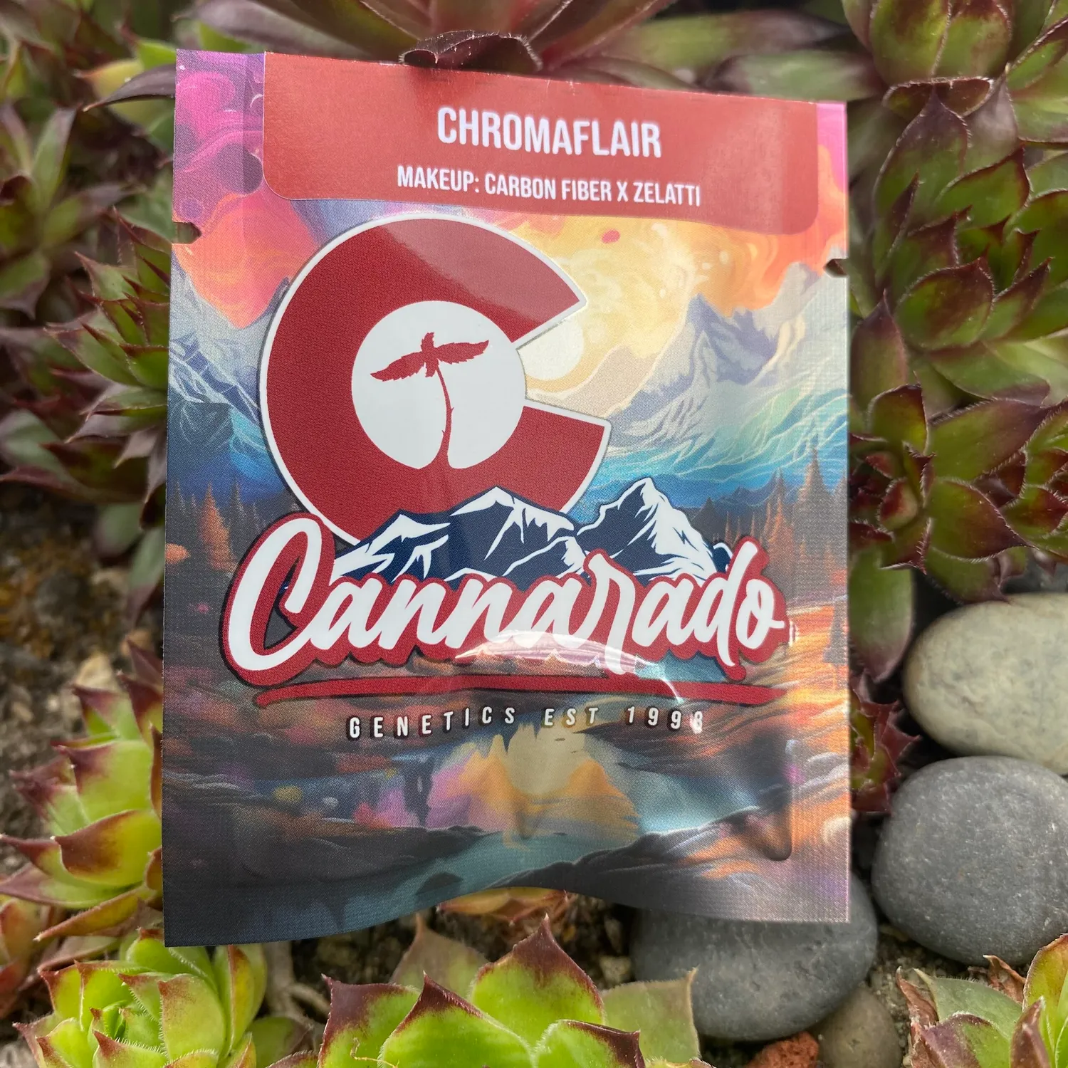 Cannarado Genetics Chromaflair semi regolari 10+ semi Carbon Fiber x Zelatti