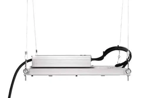 Canapo Basic lampada LED full spectrum 250W grow box