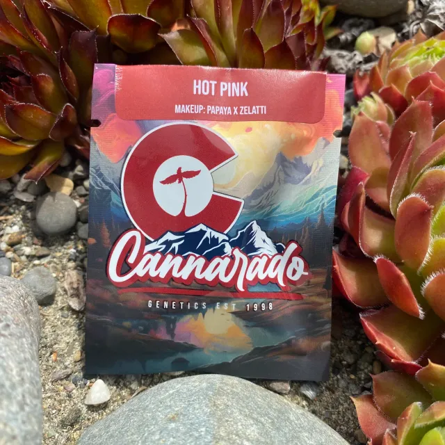 Cannarado Genetics Hot Pink semi regolari 10+ semi