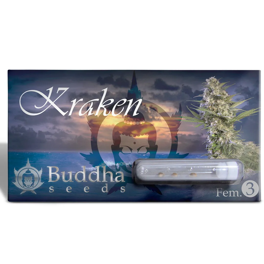 Buddha Seeds Buddha Kraken semi femminizzati potenti