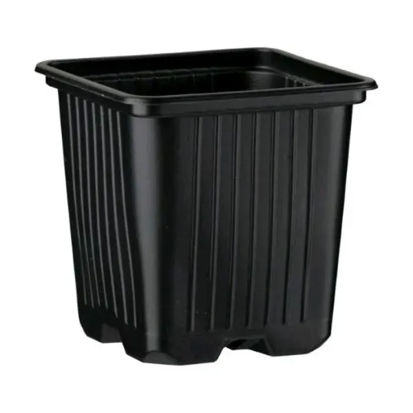 Canapo Vaso quadrato plastica 8x8x8 cm 0,35 L nero