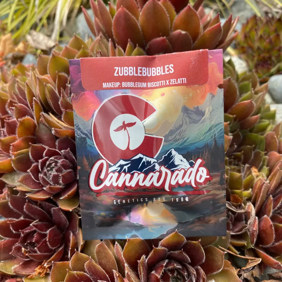 Cannarado Genetics Zubblebubbles semi regolari 10+ da collezione