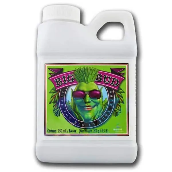 Advanced Nutrients Big Bud booster fioritura 250 ml 0-1-3