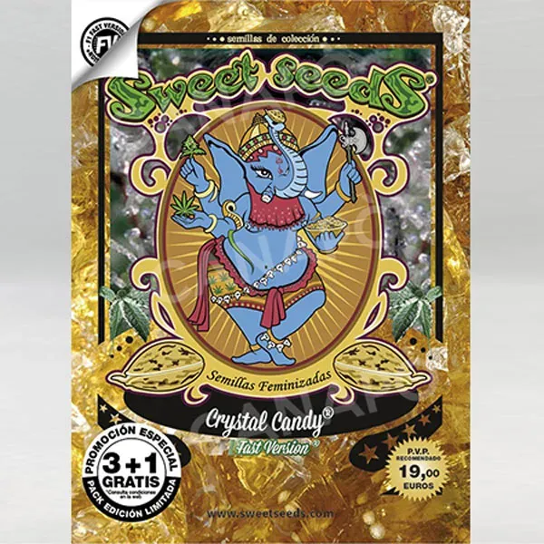 Sweet Seeds Crystal Candy F1 Fast Version semi femminizzati 4pz