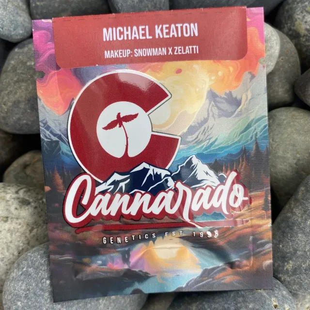 Cannarado Genetics Michael Keaton semi regolari 10+ semi Snowman x Zelatti