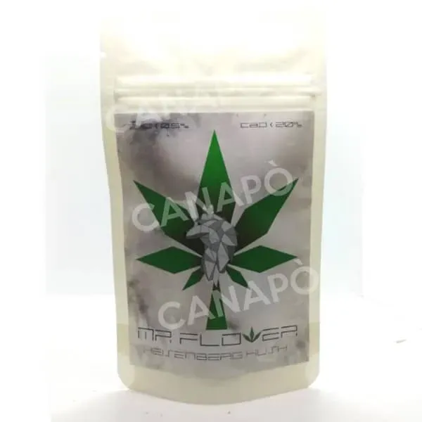 Mr Flower Heisenberg Kush infiorescenza CBD 20% indoor