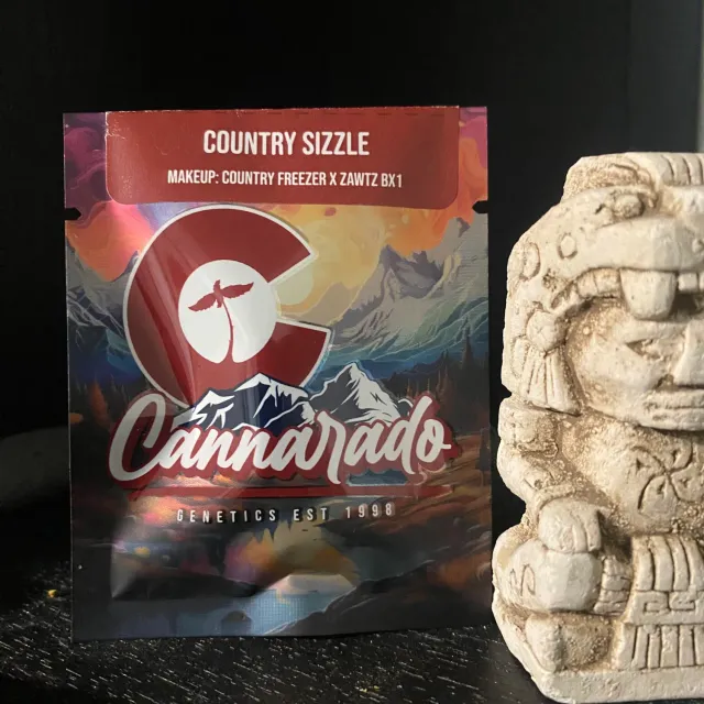 Cannarado Genetics Country Sizzle semi regolari 10+ semi