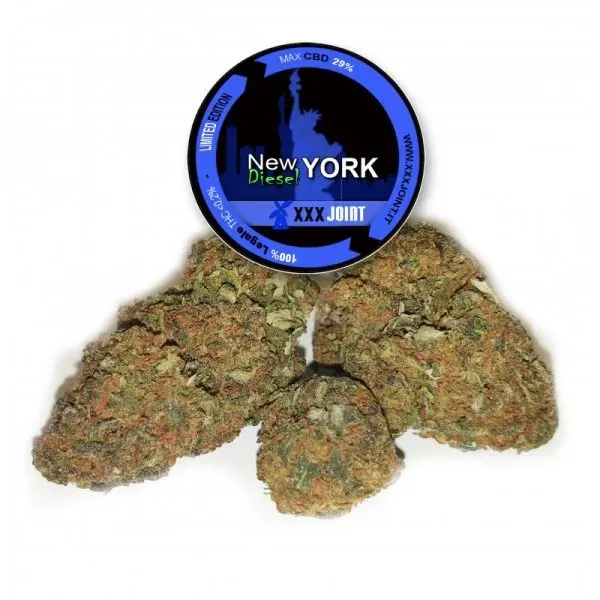 XXX Joint New York Diesel infiorescenza CBD 29% 1,5g