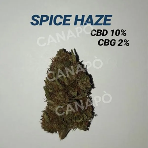 Serino Green Hemp Spice Haze infiorescenze CBD 2 g