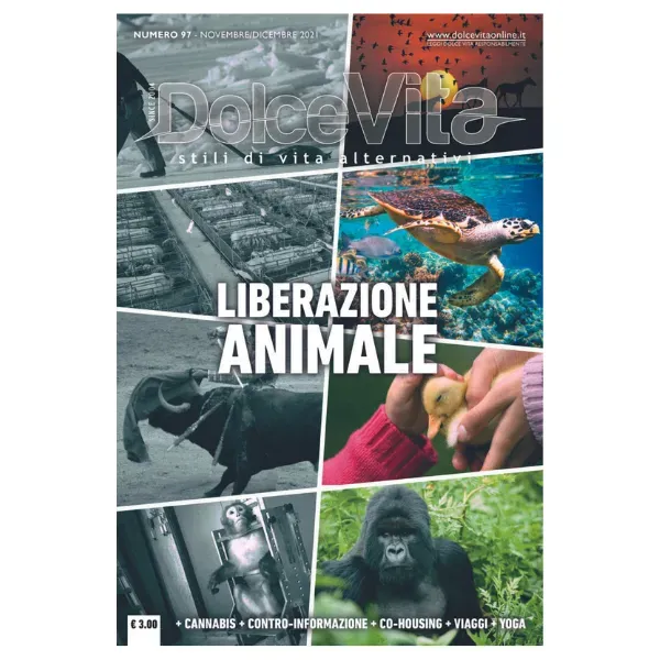 Dolce Vita Magazine 97 rivista novembre dicembre 2021