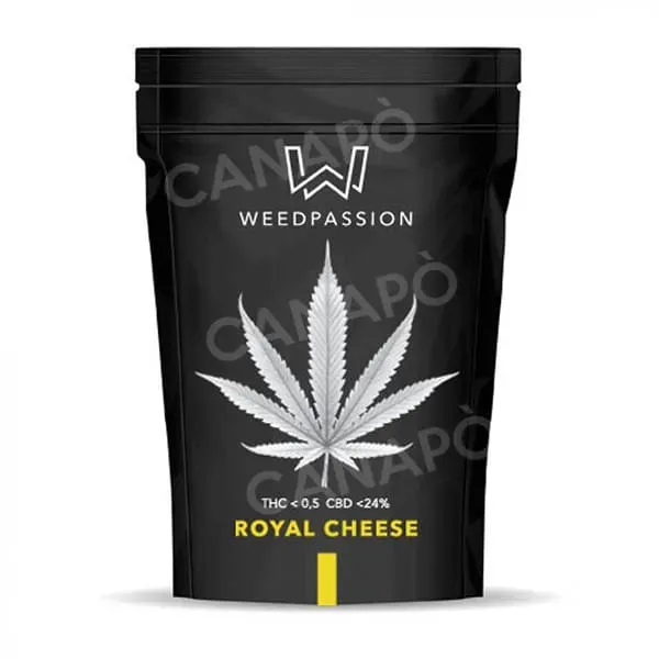 Weedpassion Royal Cheese cannabis light 1g CBD 24%
