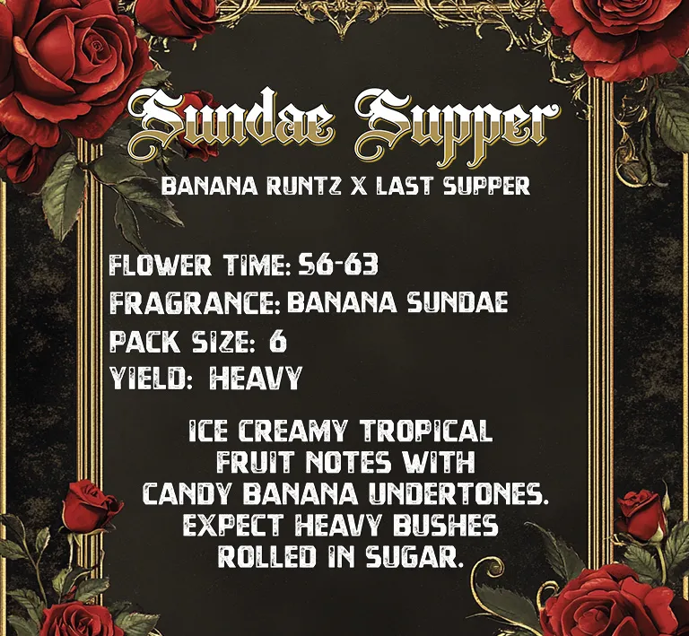 Solfire Gardens Sundae Supper semi femminizzati Last Chance dolci